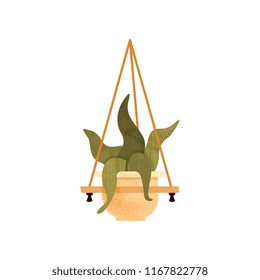 Green hanging potted house plant, element for decoration home or office interior vector Illustration on a white background