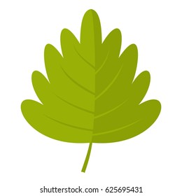 Green hawthorn leaf icon flat isolated on white background vector illustration