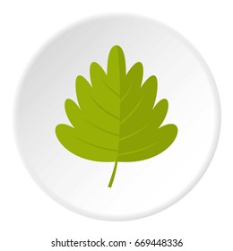 Green hawthorn leaf icon in flat circle isolated on white background vector illustration for web