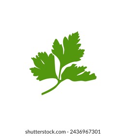 Green healthy parsley flat vector icon isolated on white background