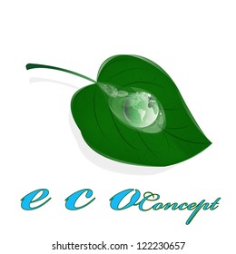 Green healthy planet and leaf with drop water.Ecology concept