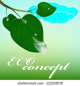 Green healthy planet and leaf with drop water.Ecology concept