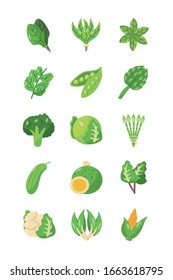 green healthy vegetables icon set over white background, flat detail style, vector illustration