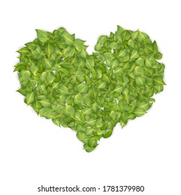 Green heart formed from vector realistic leaves