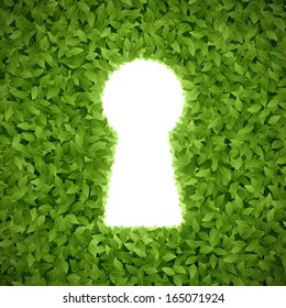 Green hedge with keyhole. Vector.
