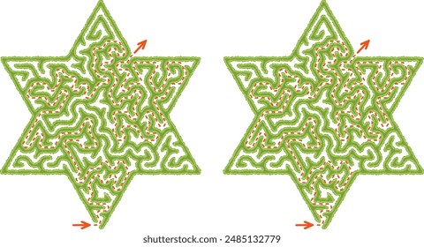 Green hedge maze vector Illustration. Top view of the open air labyrinth in the shape of star made of garden bushes and grass. Find the way through maze logic game for family isolated on white.