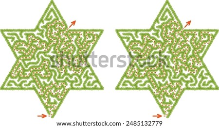 Green hedge maze vector Illustration. Top view of the open air labyrinth in the shape of star made of garden bushes and grass. Find the way through maze logic game for family isolated on white.