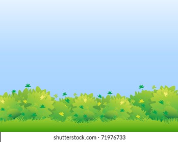 Green hedge of shrubs under a blue sky