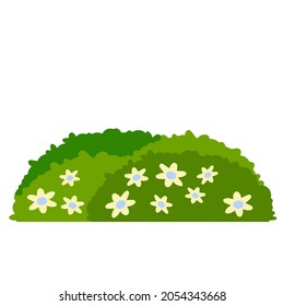 Green hedges bushes with flower. Element of garden. Small plant with leaves. Rural and forest environment. Part of background. Cartoon flat illustration