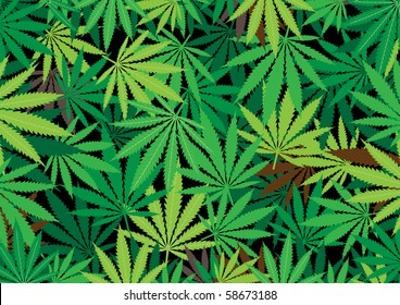 The green hemp, cannabis leaf background texture
