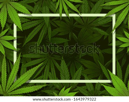 Green hemp frame. Marijuana leafs border, medical drugs and cannabis decoration vector illustration background. Rectangular backdrop decorated by foliage of wild medicinal plant, ganja vegetation.