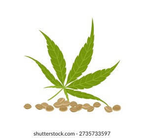 Green hemp leaf and heap of seeds isolated on white background. Vector cartoon flat illustration. 