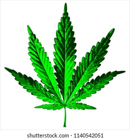Green hemp leaf. Isolated on white background. Vector illustration.