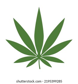 Hoja verde de cáñamo sobre fondo blanco