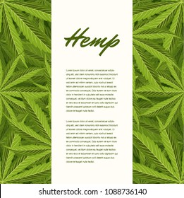 Green Hemp leaves. Vector Composition - Copy Space