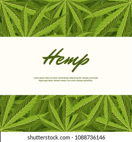 Green Hemp leaves. Vector Composition - Copy Space