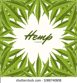 Green Hemp leaves. Vector Composition - Copy Space