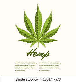 Green Hemp leaves. Vector Composition - Copy Space