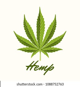 Green Hemp leaves. Vector Composition - Copy Space