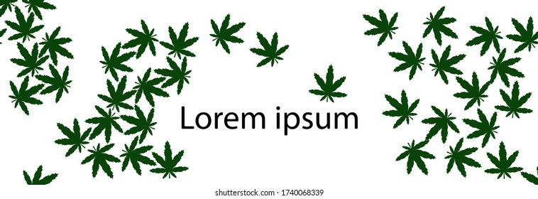 Grüner Hanf mit weißem Leerzeichen für Text.