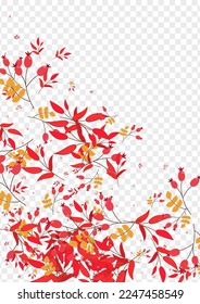 Green Herb Background Transparent Vector. Leaf Material Template. Burgundy Berries Banner. Silhouette Set. Leaves Simple.