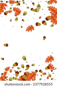 Green Herb Background White Vector. Foliage October Frame. Yellow Acorn. Nature Texture. Red Oak November.