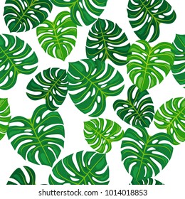 Green herb on white background. Seamless pattern.