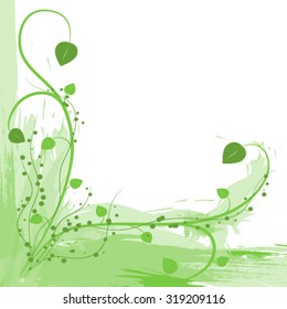 green herb on white background 