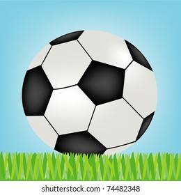 Green herb and soccer ball
