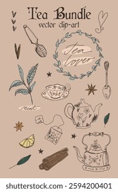 Green herbal and black tea vintage retro sketch illustration bundle set. Leaves, teapot and cup hand drawn isolated design elements vector clipart.
