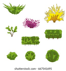 Green herbal plant isolated on white. Bush with brown branches, app game UI or web element icon. Vector illustration eps10
