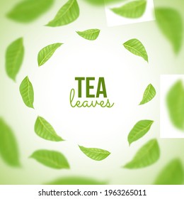 El fondo verde del té de hierbas con hojas. Volar hojas en movimiento con efecto borroso en la ilustración del vector del viento. Publicidad saludable de bebidas con papel pintado de texto o diseño de afiches.