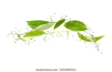 Green herbal tea leaves and wave splash with drops, vector plant drink. Realistic water flow with 3d fresh leaves of tea tree, transparent green droplets and bubbles, herbal extract beverage spill