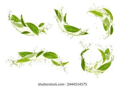 Green herbal tea leaves, wave splash and swirl with water drops. Vector 3d flow, swirl, wavy spill and round splash of transparent green drink with flowing tea tree leaves, droplets and ripples