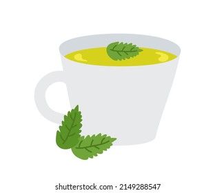 С auf grünem Kräutertee mit minzigen Blättern. Vektorgrafik eines gesunden Getränks für Design oder Dekoration.