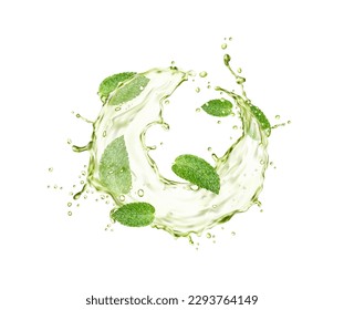 Green herbal tea splash and drops with mint leaves, vector fresh drink and herb beverage. Realistic water swirl flavored with peppermint plant leaves. Matcha or iced green tea round flow or wave