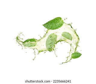 Green herbal tea wave splash and flow with mint leaves. Transparent liquid or drink flow realistic splatters frozen motion. Natural beverage vector splatters, isolated flying green fluid, tea leaves