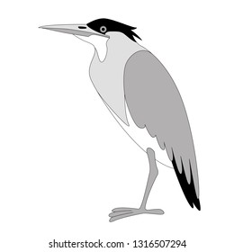 green heron, vector illustration, flat style, profile view