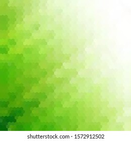 green hexagon background.  layout for presentation 