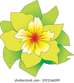 Green hibiscus flower vector format for logo or illustration