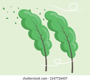 Green high trees with lush crown, thin brown trunk and branches bend away from strong winds isolated on white. Big plant with foliage round shape, landscape element in cartoon concept in windy weather