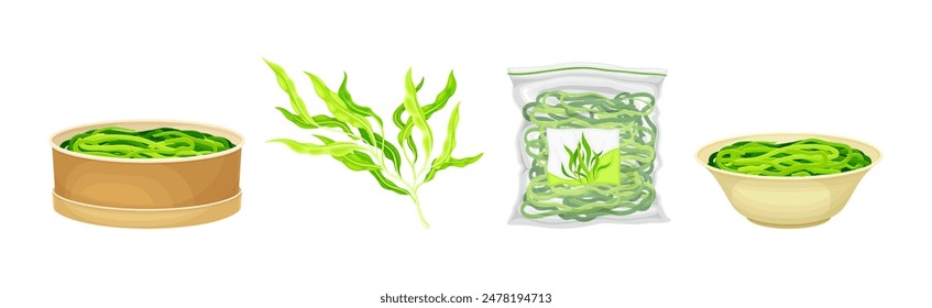Green Hijiki Seaweed and Algae Plant Vector Set