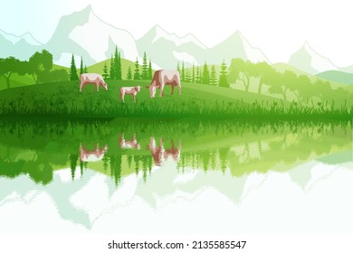 Green hills and alpine peaks are reflected in the lake. Cows graze in the meadow, spring early view