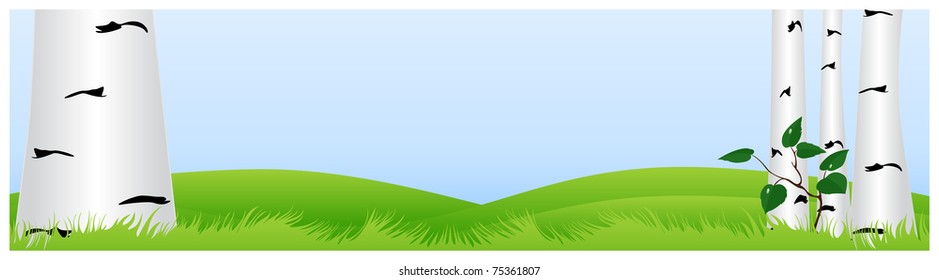 Green hills covered with grass and limited growing birch trunks
