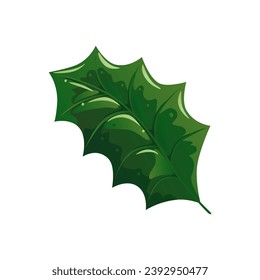 Green Holly leaf vector illustration isolated on white background. Detailed decoration botanical element for holiday patterns, wreathes, frames, packaging, designs. Bright tree fallen leaf foliage