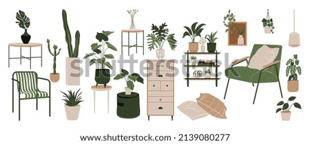 Image, Stock Photo cactus plants in greenhouse interior