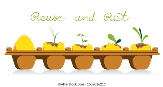 Green for home gardening. reuse and rot of eggshells. plants growth in an egg. Zero waste lifestyle.