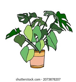 Green home plant in a plot colored vector illustration on the white background