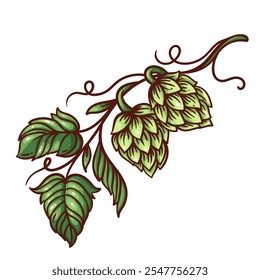 Icono de línea de rama de salto verde. Bosquejo dibujado a mano de planta fresca con brotes naturales y hojas, elemento vintage e ingrediente para elaborar cerveza. Mascota de la cervecería, Ilustración vectorial del icono del color de la cosecha del lúpulo