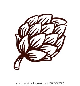 Green hop cone line icon. Outline hand drawn vintage fresh plant ingredient for making beer, decorative element of brewery emblem. Oktoberfest, harvest mascot, hop icon vector illustration